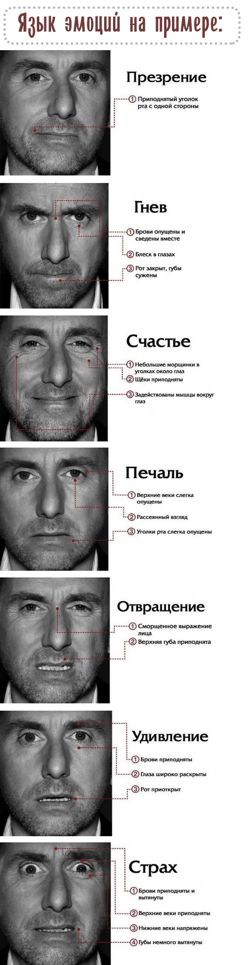Узнаем информацию по глазам собеседника