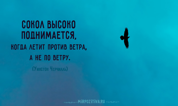 Мудрые цитаты со смыслом