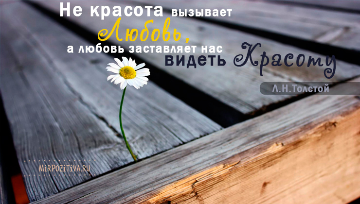 Не красота вызывает любовь, а любовь заставляет видеть нас красоту