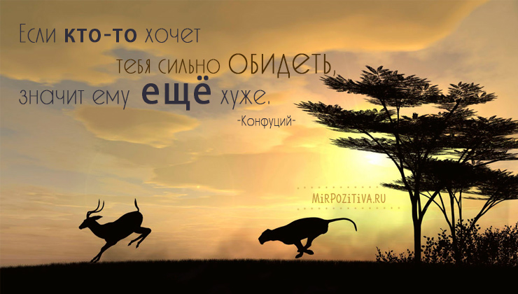 Цитаты Конфуция