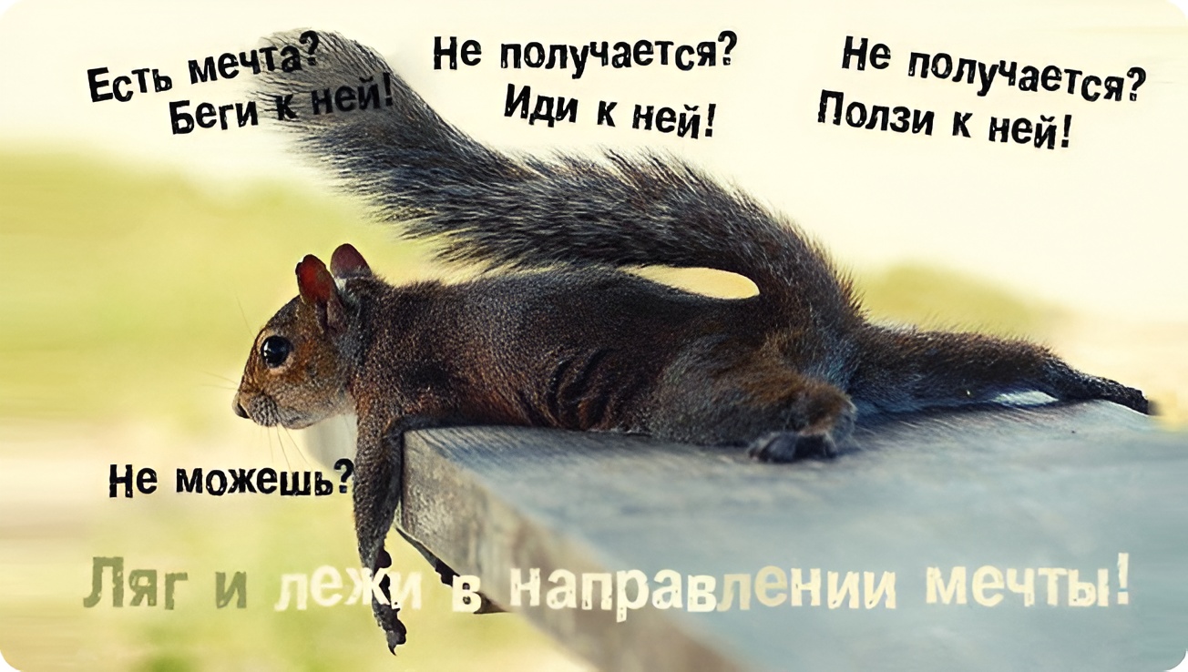 Есть мечта? Беги к ней!