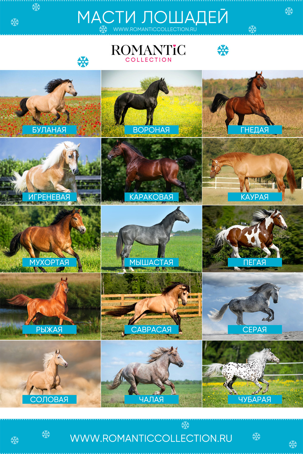 Викторина «Попади в масть»