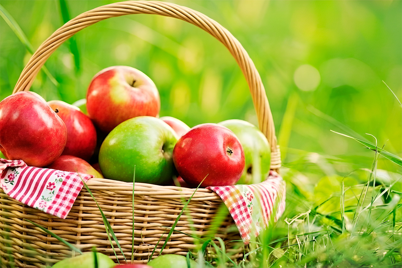 Красивые стихи про август