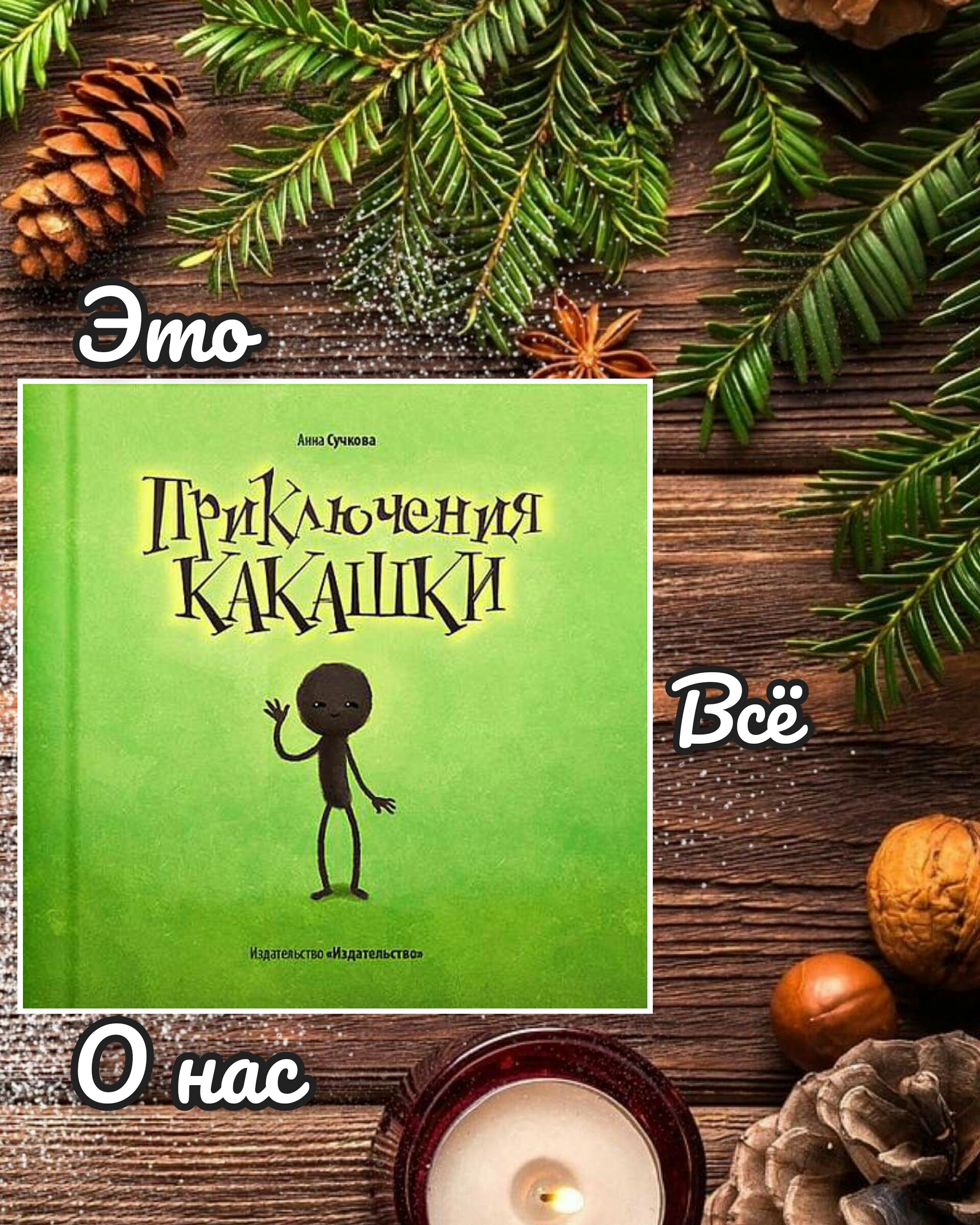 Приключения КА...ШКИ (книга)
