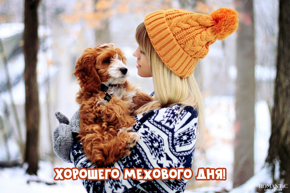 Короткие подписи к фото с собакой