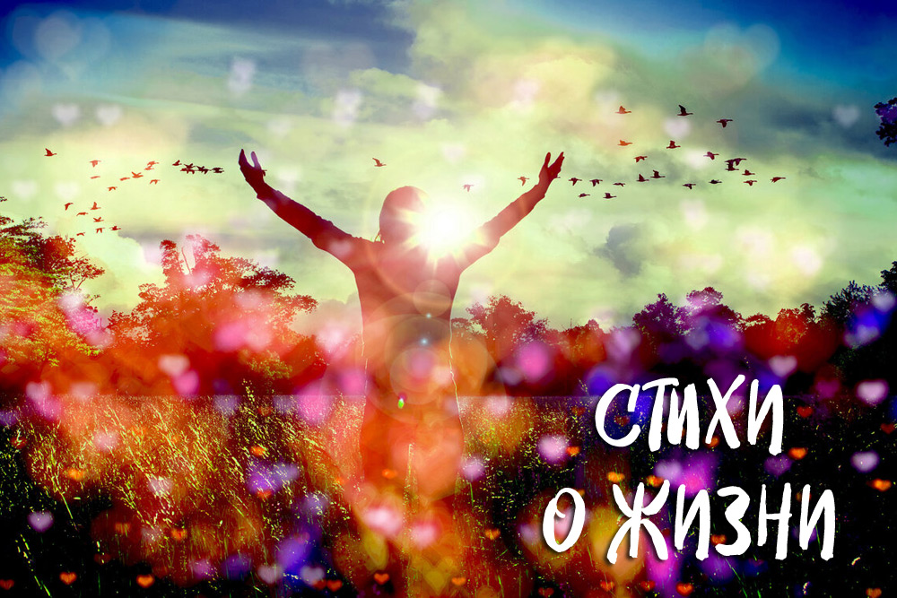 Красивые стихи о жизни