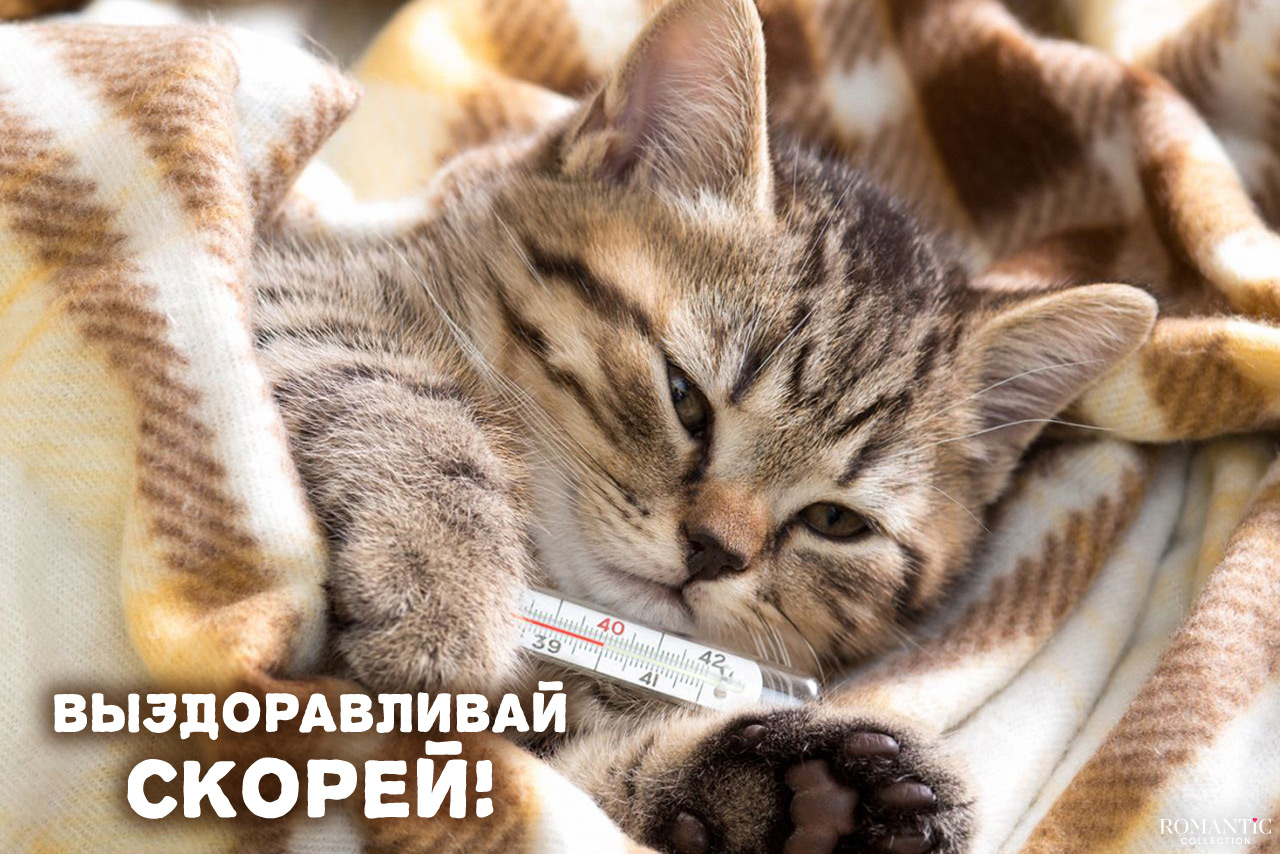 Что написать любимому, который болеет: готовые фразы