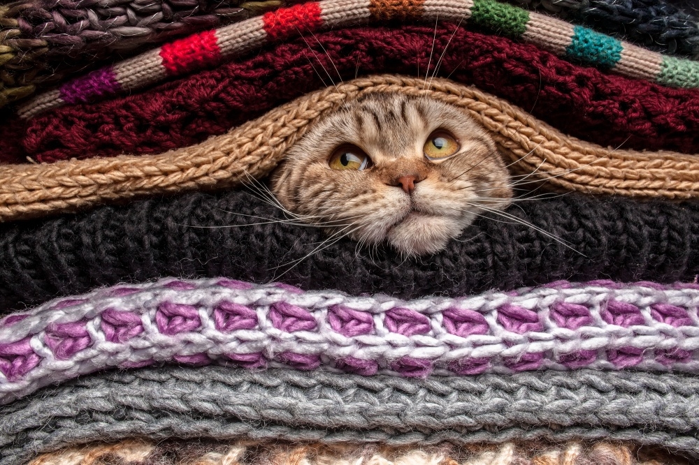 15 причин, по которым осень лучше лета