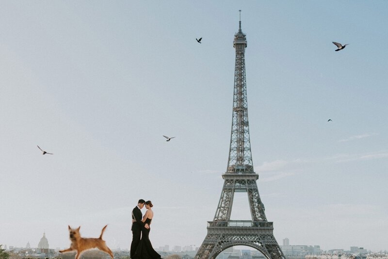 Топ-35 лучших помолвочных фотографий 2019 года