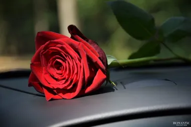 Роза под дворник авто