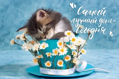 Добрые пожелания на каждый день