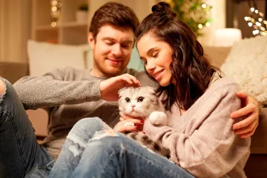 Кошка и её любимый человек