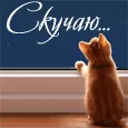 Скучаю по твоей улыбке. Скорей бы встреча!