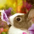 Пусть твоя душа наполнится светом и любовью!