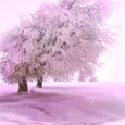 Давай сделаем так, чтобы этот миг длился вечно...
