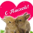 Желаю света и любви!
