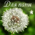 Ты самый лучший на свете! Папа, я тебя очень люблю!