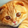 Ты не можешь быть рядом со мной...