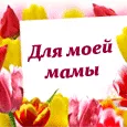 Мама — одно слово, четыре буквы, вечный смысл…