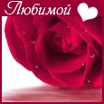 Зацелована, околдована, С ветром в поле когда-то повенчана...