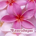 Благодарю от всего сердца!