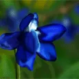 Мысли о тебе греют мою душу