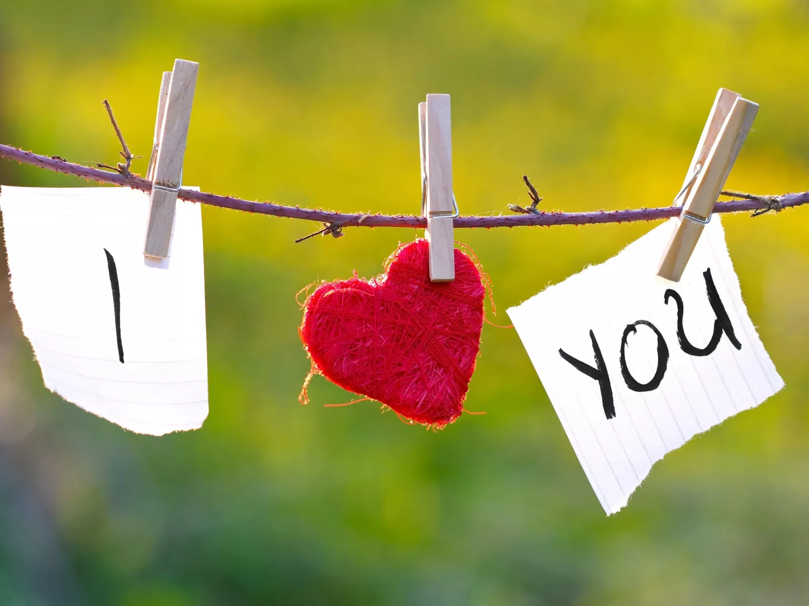 I love you