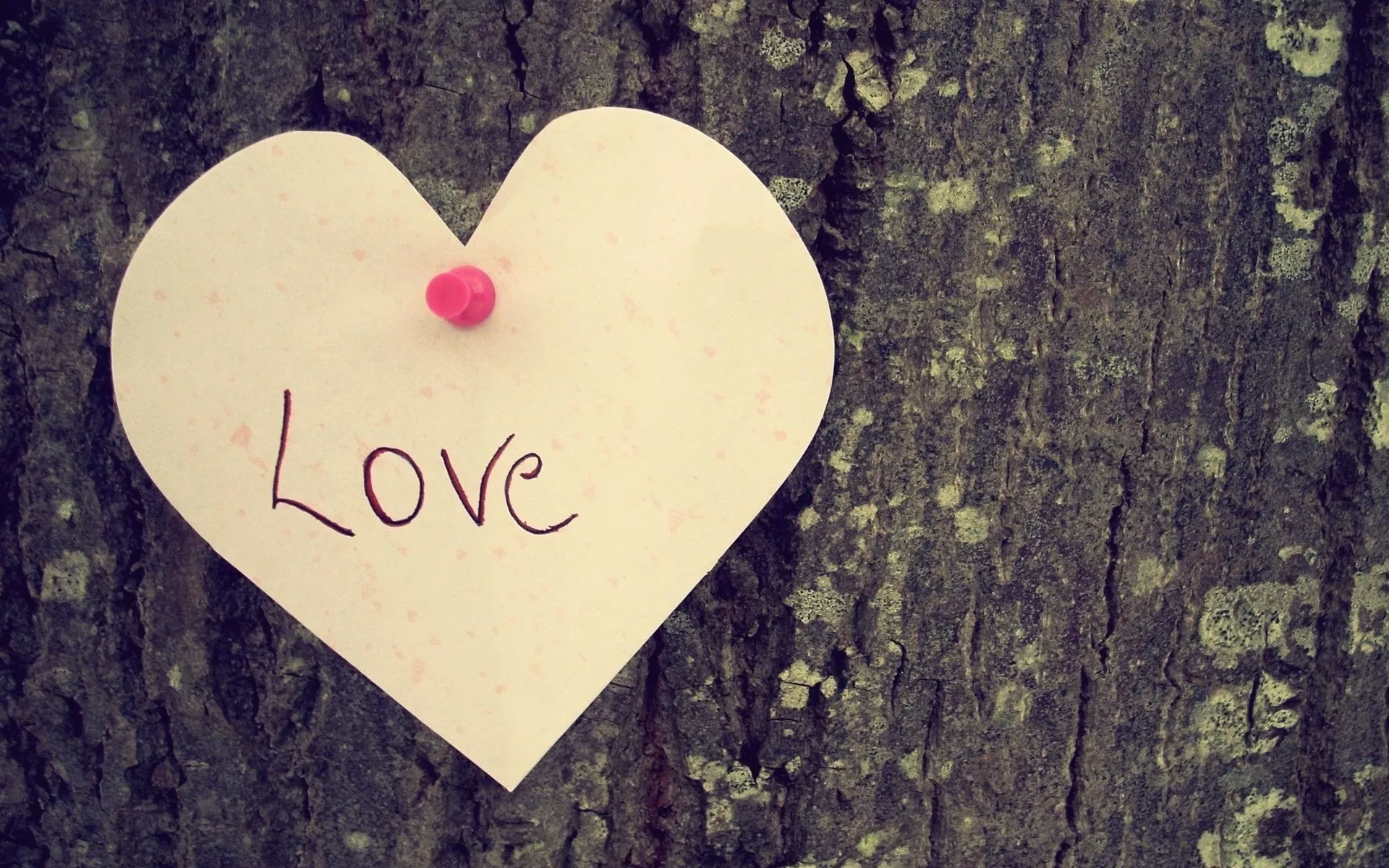 Записка на дереве Love