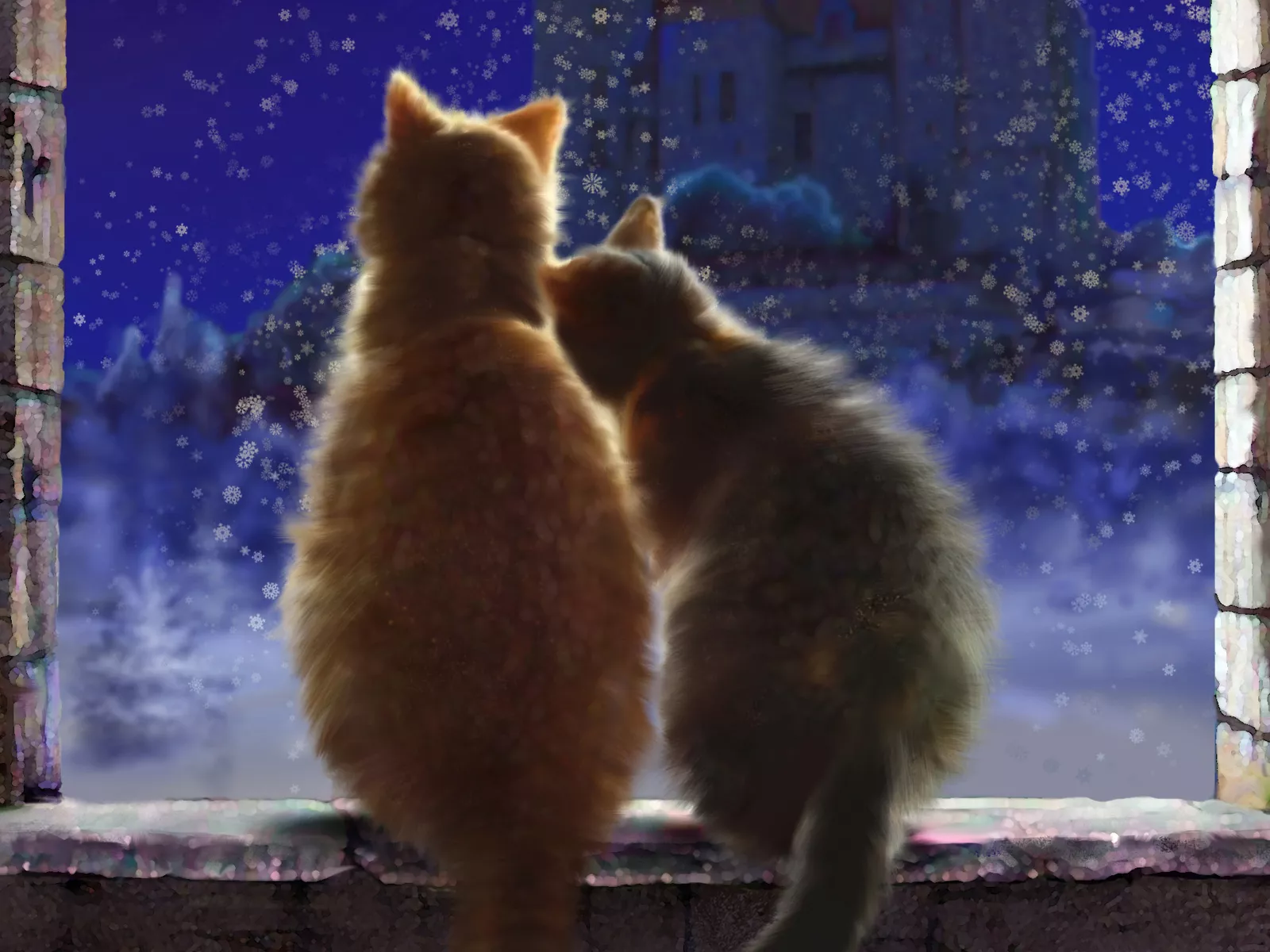 Влюбленные коты