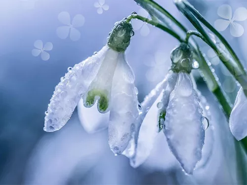 Открытки на Восьмое марта