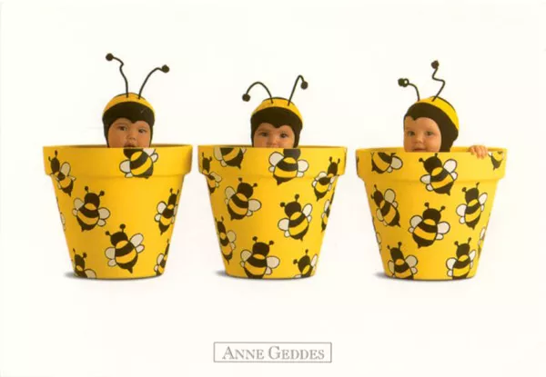 Фотографии детей Anne Geddes