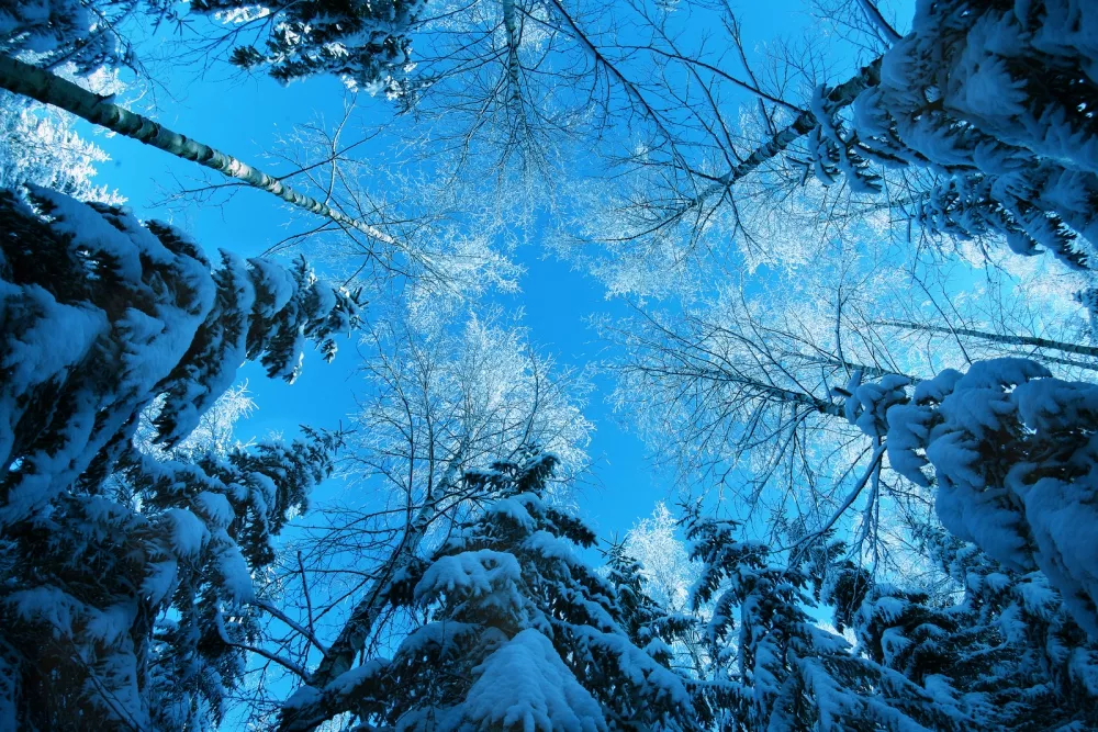 Зимние пейзажи Kari Liimatainen