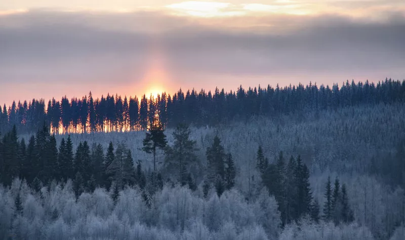 Зимние пейзажи Kari Liimatainen