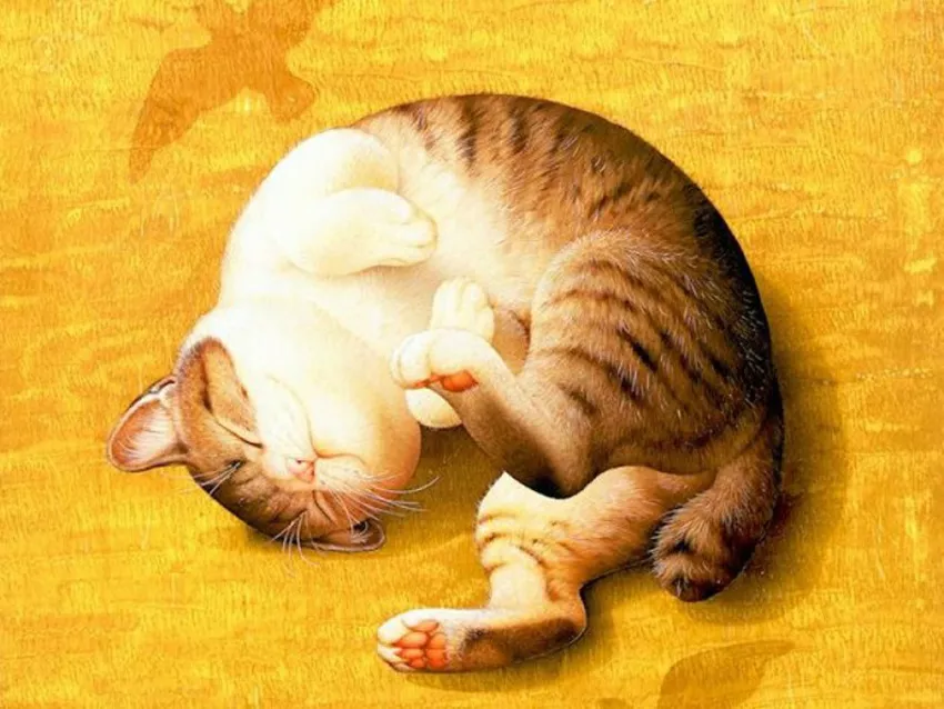 Плюшевая живопись Makoto Muramatsu