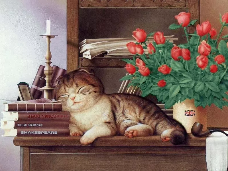 Плюшевая живопись Makoto Muramatsu