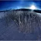 Зимние пейзажи Kari Liimatainen
