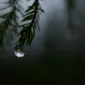 Зимние пейзажи Kari Liimatainen