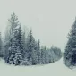 Зимние пейзажи Kari Liimatainen