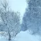 Зимние пейзажи Kari Liimatainen