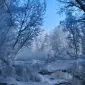 Зимние пейзажи Kari Liimatainen