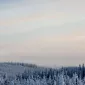 Зимние пейзажи Kari Liimatainen