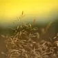 Зимние пейзажи Kari Liimatainen