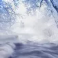 Зимние пейзажи Kari Liimatainen