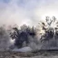 Зимние пейзажи Kari Liimatainen