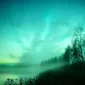 Зимние пейзажи Kari Liimatainen