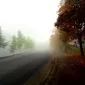 Зимние пейзажи Kari Liimatainen