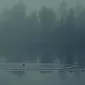 Зимние пейзажи Kari Liimatainen