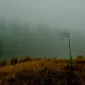 Зимние пейзажи Kari Liimatainen