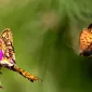 Зимние пейзажи Kari Liimatainen