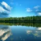 Зимние пейзажи Kari Liimatainen